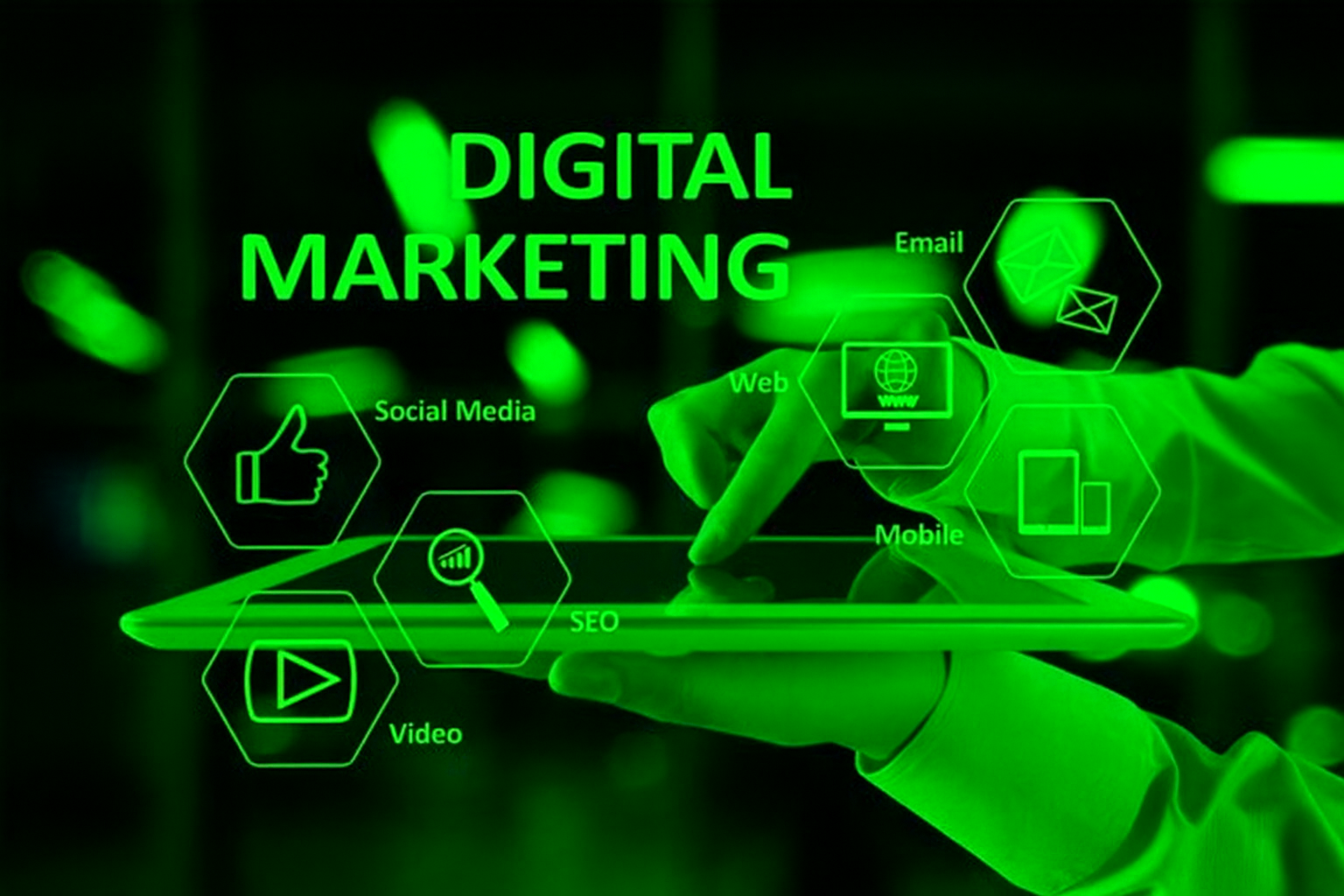 FREELACE DIGITAL MARKETING EXPERT IN MALAPPURAM
